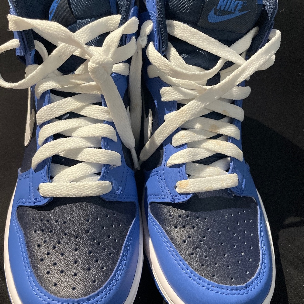 Nike Dunk High